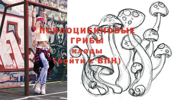 прущие грибы Белоозёрский