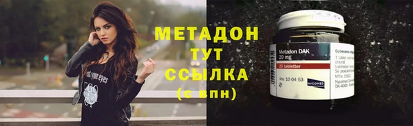 прущие грибы Белоозёрский
