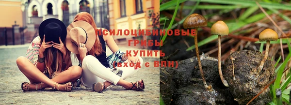 apvp Беломорск