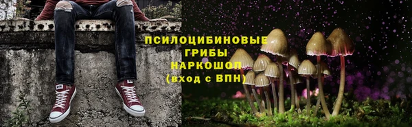 apvp Беломорск