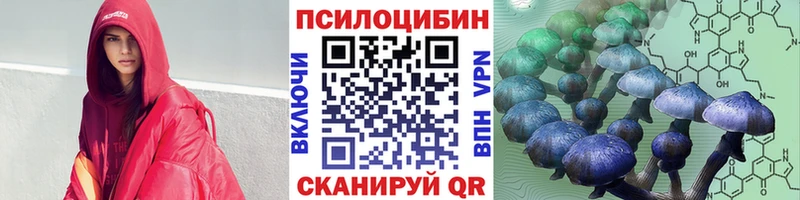 Галлюциногенные грибы Psilocybine cubensis blacksprut ТОР Верхний Тагил